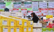 [스펙터클코리아] ‘먹고 사는게 참…’ 한국 식료품값 세계 최고 수준