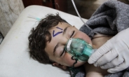 시리아 화학무기 공습 전세계 규탄…러시아 “완전히 거짓”