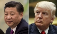 트럼프, 시진핑 만남 앞두고 中 숙원 ‘시장경제’ 만지작