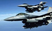 美 F-16 전투기 추락…조종사는 낙하산 타고 탈출