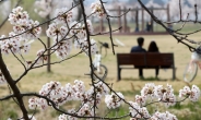 봄비 속 포근한 일요일…서울 낮최고 20도