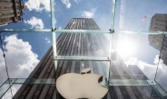 애플, 美 기업 최초로 시총 8000억달러 돌파