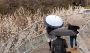 [13일 날씨]전국 흐리고 중부·경북 비…미세먼지 ‘보통’