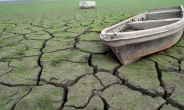 [헤럴드포토] ‘모처럼 단비…가뭄 해결엔 역부족’