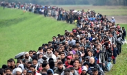 지난해 세계 난민 6560만명…30만명 증가