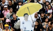 시진핑 강력 경고에도…홍콩 6만명 반중국 시위