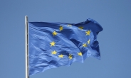 EU, 공식 결론 전 반독점 행위 막는 ‘임시 조치’ 검토