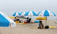 [포토 뉴스] 무더위 본격화…해수욕장은 벌써 휴가철