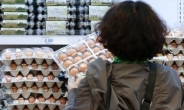 1/3 가격 태국산 달걀 들어왔는데…국내 달걀값 ‘요지부동’