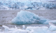 녹아내린 알프스 빙하서 75년 만에 발견된 부부