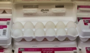 유럽 강타한 ‘살충제 계란’ 공포, 영국까지…“닭고기도 조사”