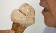 바닐라 가격 6배 폭등…메뉴서 사라진 바닐라 아이스크림