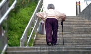 서울 노인 4명 중 1명은 ‘홀몸’…10년사이 2배 급증
