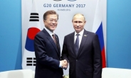 [러 순방 文대통령]“푸틴의 ‘신동방정책’ㆍ韓의 ‘신북방정책’ 공유 모색”