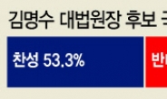 국민의당 지지자 절반 “김명수 반대”