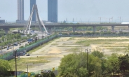 인천 송도테마파크서 ‘토양오염물질’ 발견