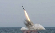 해군 콜드런치 기술, 북한에 해킹당해