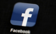 페이스북, 독일 총선 전 가짜 계정 수만 개 폐쇄