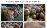 [2017 국감]중국산 흙 덕지덕지 양파 방관하는 정부