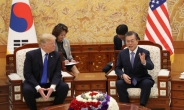 [트럼프 방한]韓美 공동기자회견, “한미FTA 협의 신속 추진키로”
