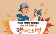 강남구, 8~11일 양재천서 ‘펫 페스티벌’