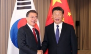 文대통령-시진핑, 관계 정상화 시동…한중 정상회담 개최