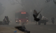 인도-파키스탄, 대기오염-스모그로 몸살