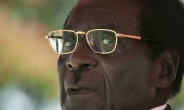 짐바브웨 무가베 37년 독재 종식…새 대통령은 음난가그와