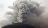발리 ‘화산재 구름’ 공포…항공사는 안절부절