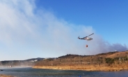 [포토뉴스] 울산 북구 ‘가대마을’ 임야 화재…산림 5만㎡ 불타