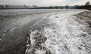 극한 추위에 한강도 얼었다…71년 만에 가장 빨라