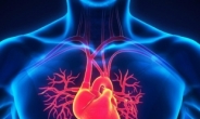 “심방세동이 뭐예요?”…국민 10명중 9명 잘 모른다
