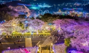 대구 이월드, 벚꽃런 레이스 축제 진행
