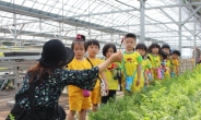 강서구, 서울 최대 힐링체험농원서 ‘어린이 농촌체험학습’ 실시
