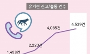 서울 유기견 신고ㆍ출동건수, 4년 간 3배 늘었다