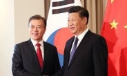 시진핑 “남북 정상회담 축하해요” 文 대통령 “시주석도 관심가저달라”