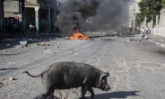 [포토뉴스] 점점 격렬해지는 아이티 시위