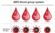 [Weekender] What blood types are really about