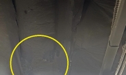 반포 뉴코아 천장서 시멘트 파편 추락…SNS선“건물 붕괴 조짐”루머
