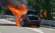 BMW 520d 또 주행 중 화재…이번엔 영동고속도로