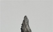[지상갤러리] 두산갤러리 임영주 개인전 ‘물렁뼈와 미끈액’
