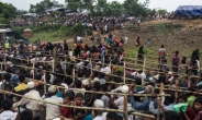 유엔 “미얀마 군부, 인종청소 위해 로힝야족 대량학살”