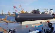 한국, 세계 15번째 잠수함설계국 등극…14일 3000t급 잠수함 ‘도산안창호함’ 진수식