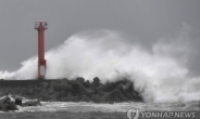 태풍 '콩레이' 영향…대구·경북 6일까지 최대 300㎜ 비