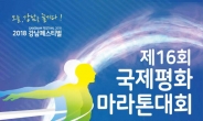 강남구, 국제평화마라톤대회 개최