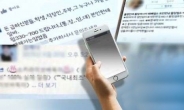 SNS 불법대출 광고 폭증…올해 벌써 4569건