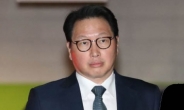 “최태원 회장 동거인 소개한 기자는 꽃뱀” 악성 댓글… 60대女 징역형 ‘확정’