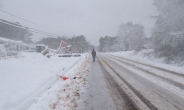 美 남동부, 이번엔 눈폭풍 강타로 4명 사망