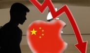 WSJ의 애플 향한 충고…“중국 원망 말고 삼성 전략 배워라”