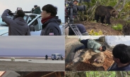 UHD 다큐멘터리 ‘곰’, 에필로그, 곰에게 배우다로 2년여 대장정 마무리